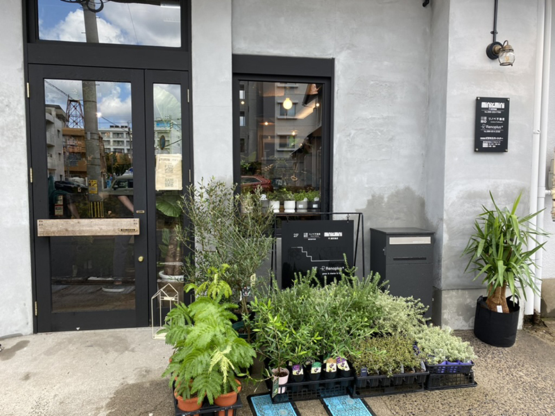 ビレッジ戦略 リノプラス