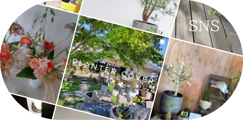 集客に欠かせないSNSで何を発信するのか?